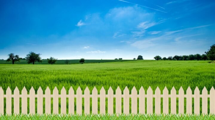 Discover why the grass is NOT greener on the other side