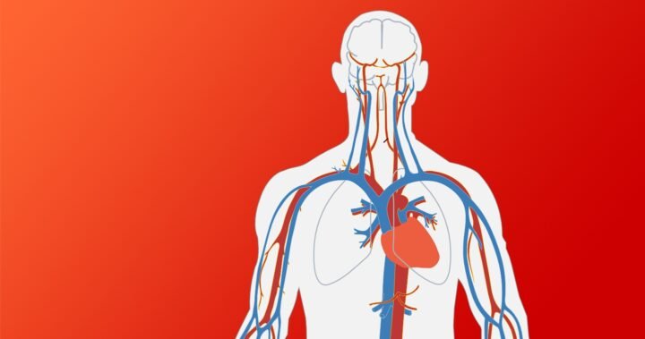 Discover the transformative power of magnesium for heart health and overall well-being.