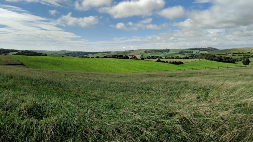 View while taking a walk - A view on the South Downs Way