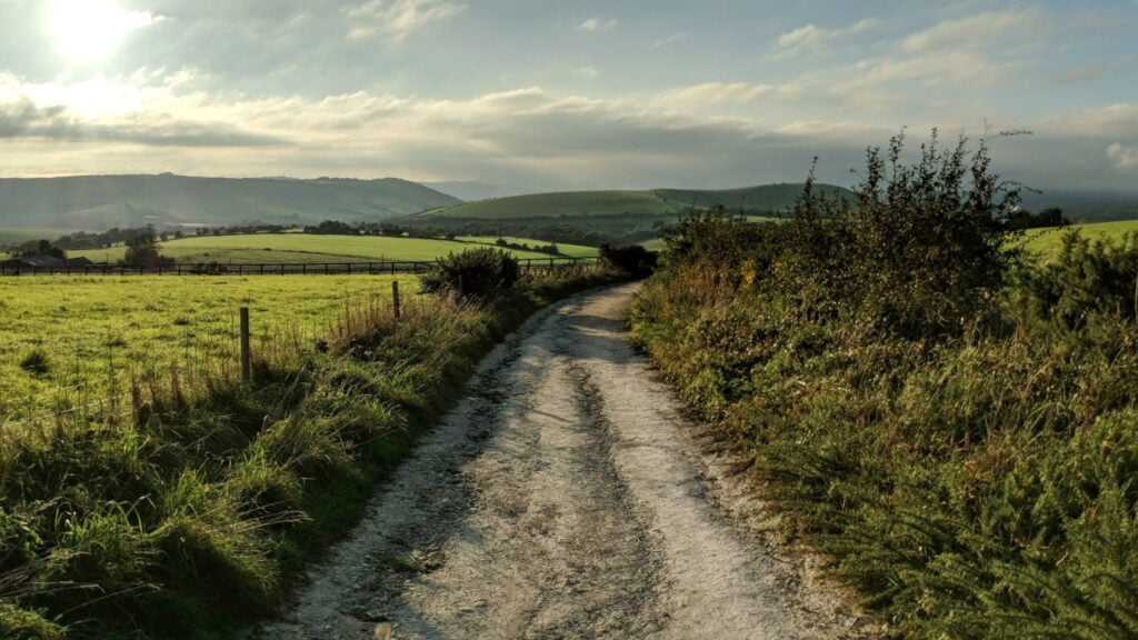 View while taking a walk - South Downs Way scenery