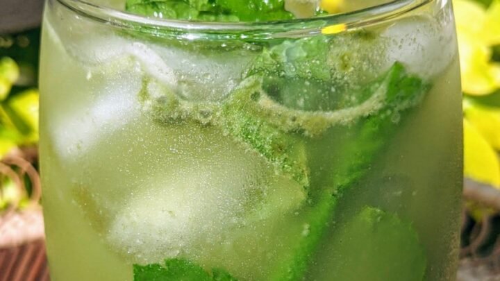 Start a matcha green tea business